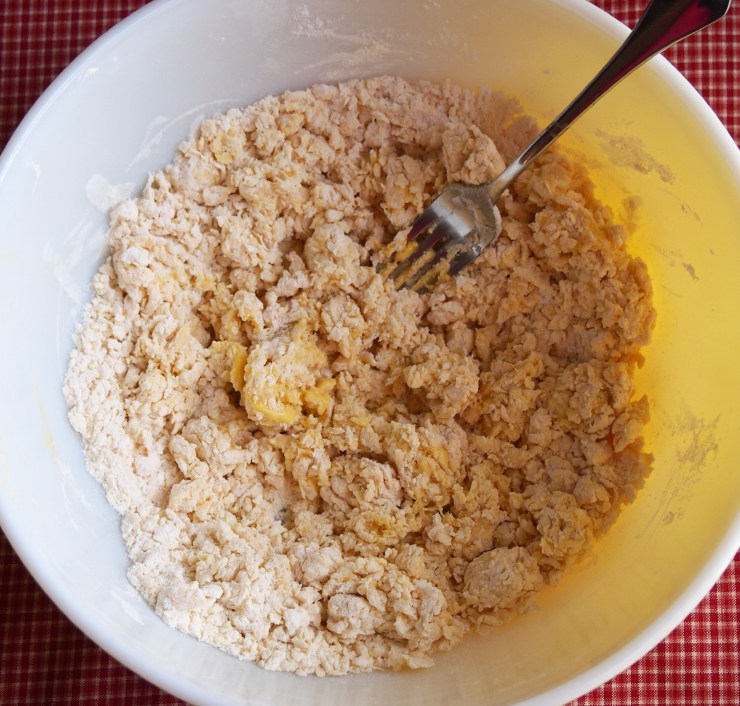 egg noodle dough beginning to come together in a bowl. 