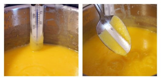 orange-curd-tutorial