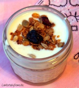 Homemade Vanilla Greek Yogurt with Nut Free Protein Granola