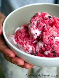 Sour cherry cordial frozen yogurt is riddled with dark chocolate shavings and a ribbon of marshmallow cream. | ComfortablyDomestic.com